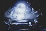 (image for) Moonlight Butterflies